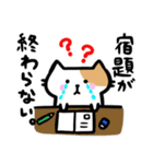 がんばれ受験生！ねこちゃん（個別スタンプ：11）