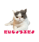 ぷぷぽぽ2023（個別スタンプ：14）
