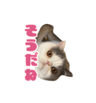 ぷぷぽぽ2023（個別スタンプ：16）