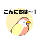 インコさん。（個別スタンプ：2）