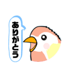 インコさん。（個別スタンプ：3）