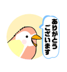 インコさん。（個別スタンプ：4）