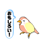 インコさん。（個別スタンプ：17）