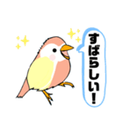 インコさん。（個別スタンプ：18）