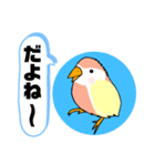 インコさん。（個別スタンプ：21）