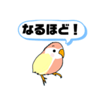 インコさん。（個別スタンプ：22）