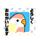 インコさん。（個別スタンプ：29）