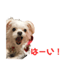 マルチワのとろろのスタンプ（個別スタンプ：2）