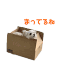 マルチワのとろろのスタンプ（個別スタンプ：6）