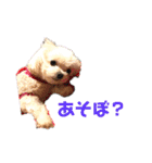 マルチワのとろろのスタンプ（個別スタンプ：7）