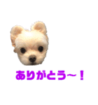 マルチワのとろろのスタンプ（個別スタンプ：18）