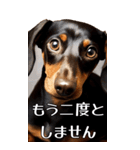 【いろんなAI犬】笑顔で謝罪♪（個別スタンプ：3）