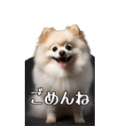 【いろんなAI犬】笑顔で謝罪♪（個別スタンプ：5）