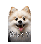 【いろんなAI犬】笑顔で謝罪♪（個別スタンプ：6）