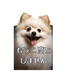 【いろんなAI犬】笑顔で謝罪♪（個別スタンプ：7）