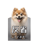 【いろんなAI犬】笑顔で謝罪♪（個別スタンプ：8）