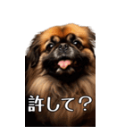 【いろんなAI犬】笑顔で謝罪♪（個別スタンプ：10）