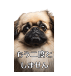 【いろんなAI犬】笑顔で謝罪♪（個別スタンプ：11）