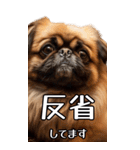 【いろんなAI犬】笑顔で謝罪♪（個別スタンプ：12）