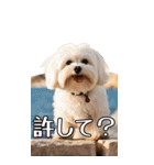 【いろんなAI犬】笑顔で謝罪♪（個別スタンプ：14）