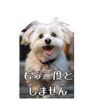 【いろんなAI犬】笑顔で謝罪♪（個別スタンプ：15）