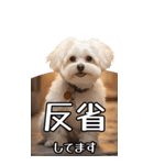 【いろんなAI犬】笑顔で謝罪♪（個別スタンプ：16）