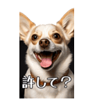 【いろんなAI犬】笑顔で謝罪♪（個別スタンプ：18）