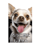 【いろんなAI犬】笑顔で謝罪♪（個別スタンプ：19）