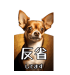 【いろんなAI犬】笑顔で謝罪♪（個別スタンプ：20）