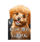 【いろんなAI犬】笑顔で謝罪♪（個別スタンプ：23）