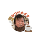 とらのすけの可愛いスタンプ（個別スタンプ：12）