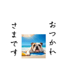 ブルドッグの夏 bulldog（個別スタンプ：6）