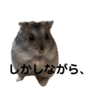 話を変えてくれるミッシェル（個別スタンプ：5）