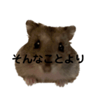 話を変えてくれるミッシェル（個別スタンプ：9）