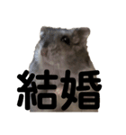 話を変えてくれるミッシェル（個別スタンプ：14）