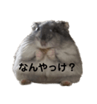 話を変えてくれるミッシェル（個別スタンプ：21）