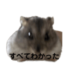 話を変えてくれるミッシェル（個別スタンプ：22）