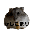 話を変えてくれるミッシェル（個別スタンプ：25）