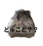 話を変えてくれるミッシェル（個別スタンプ：28）