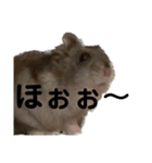 話を変えてくれるミッシェル（個別スタンプ：29）