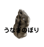 話を変えてくれるミッシェル（個別スタンプ：30）