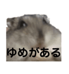 話を変えてくれるミッシェル（個別スタンプ：31）