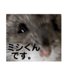 話を変えてくれるミッシェル（個別スタンプ：32）