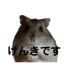 話を変えてくれるミッシェル（個別スタンプ：33）
