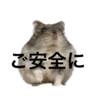 話を変えてくれるミッシェル（個別スタンプ：34）
