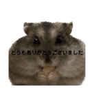 話を変えてくれるミッシェル（個別スタンプ：36）