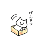 ゆる〜い挨拶ねこスタンプ（個別スタンプ：2）