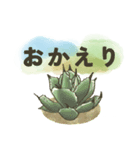 色んな多肉植物たち(日常ことば)（個別スタンプ：8）