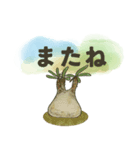 色んな多肉植物たち(日常ことば)（個別スタンプ：15）