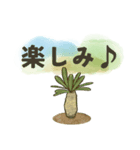 色んな多肉植物たち(日常ことば)（個別スタンプ：16）